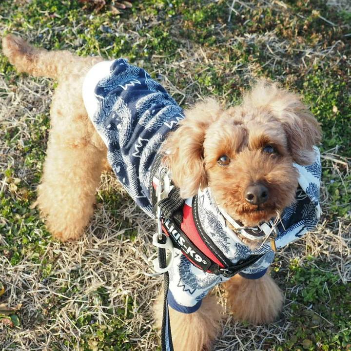 46dd3ced 0468 45cd bde6 f5d4825282b2 1520223114400