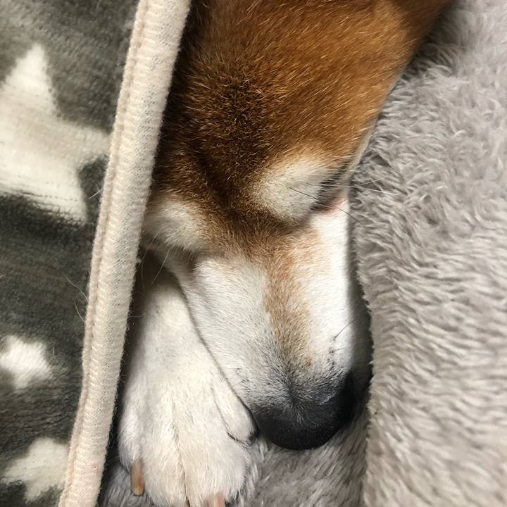 46dd3f35 2a85 4fef a105 2adfafab5c2e 1578476437293