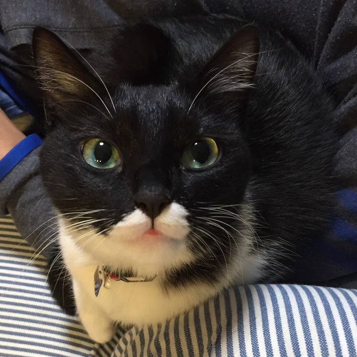 46dd703b a9fc 4044 9d3c 4c423e5e8555 1539524652955