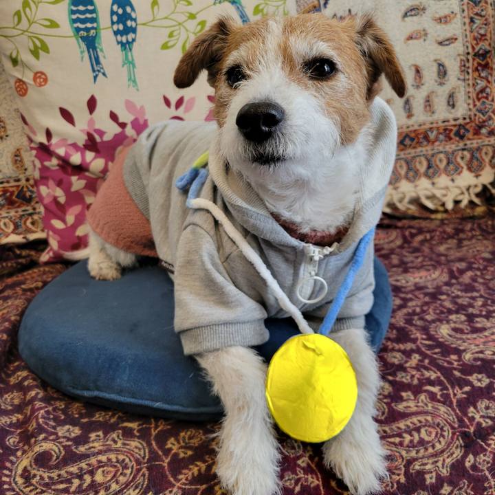 46ddc5f0 25c5 4d2a 96a3 01f893a1ead0 1737072376791