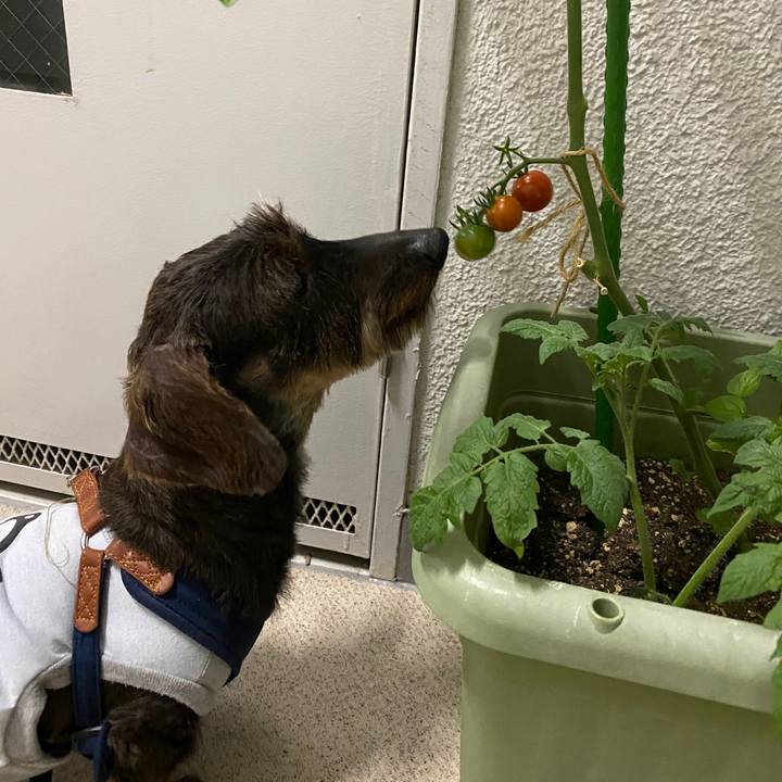 46ddcdf3 7fd0 44ea 9000 b1df0a3dd8ee 1591972819226