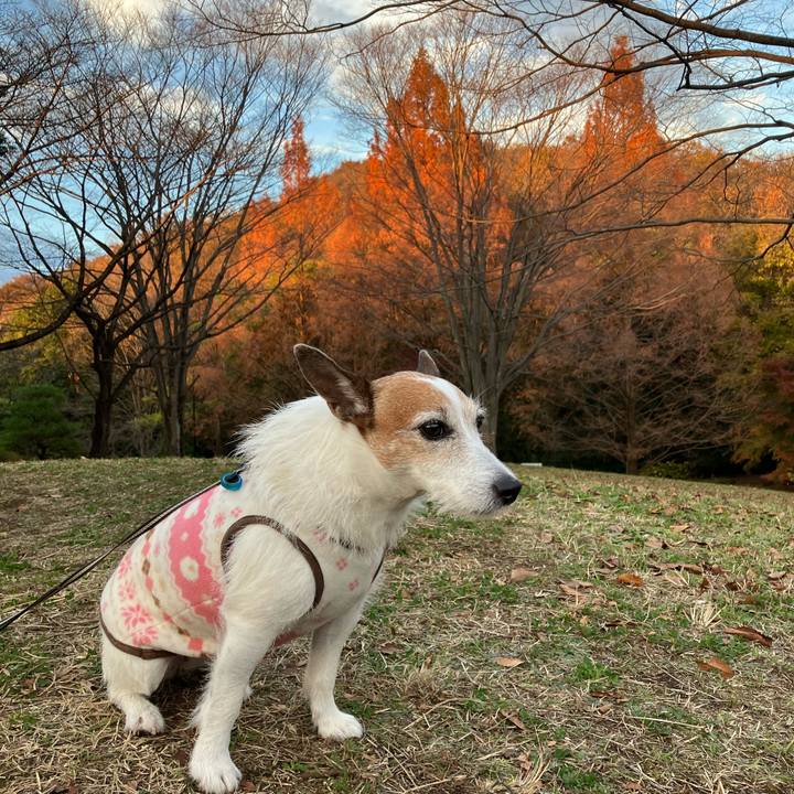 46ddee84 4248 432e 9a1a f66e414ff2cc 1670196088894