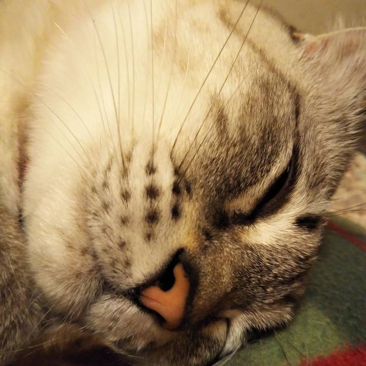 46de0126 2723 41f1 bd19 8b02949dbc4f 1605357793501