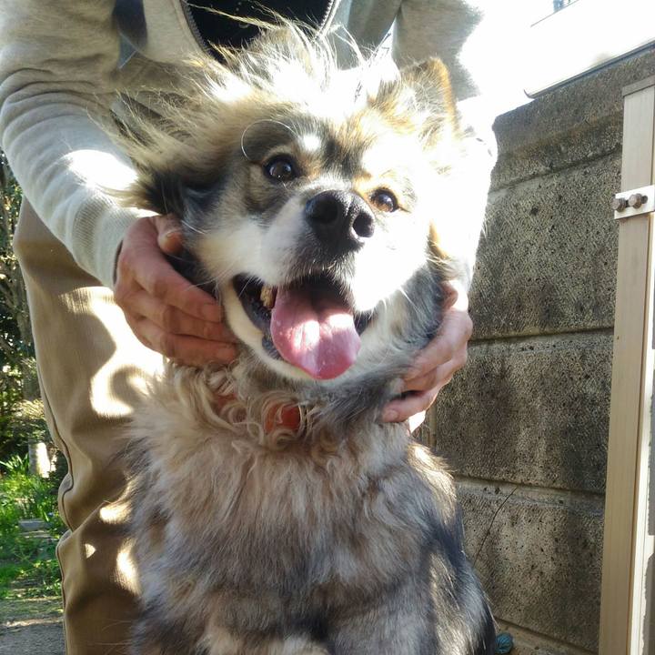 46de35c7 ac43 4635 b223 85de10ed90ad 1554341726182