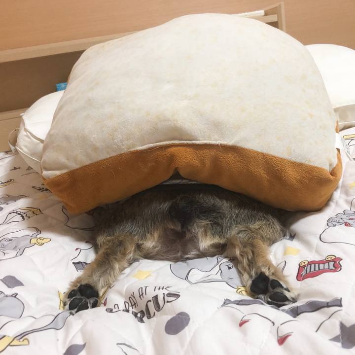 46de3d0c 3ecc 4258 91f2 4d7420b9d45d 1560640011662