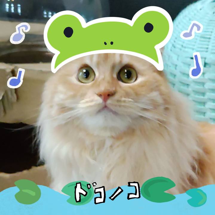 46de6a4b 54ae 4b52 8234 cfd8afca1d3b 1717583956265