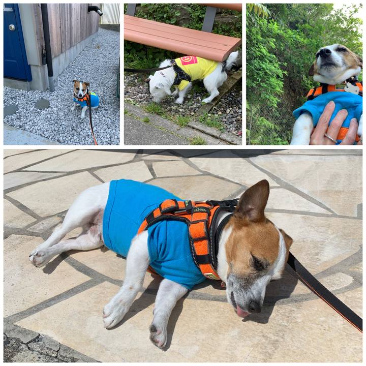 46de7369 285a 4180 8c49 bfac3d6be117 1587867346834