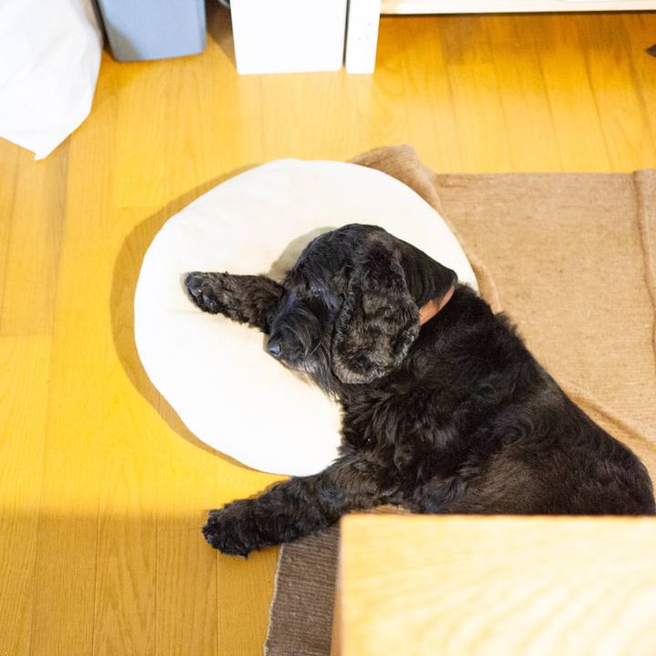 46dea28f 495a 4e14 9d15 237fb15bc26e 1563258502054