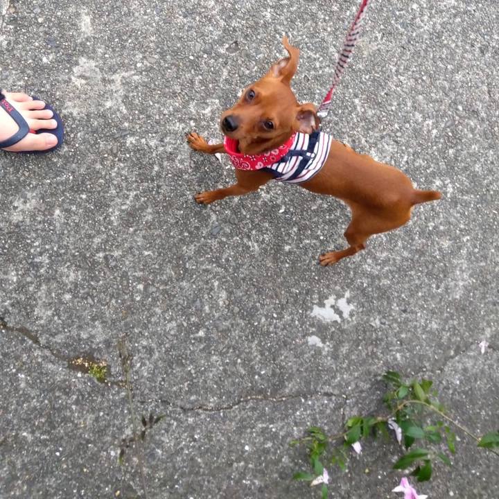 46dea5b4 21fa 48e2 9143 ff38f2b6f2d0 1686461546300