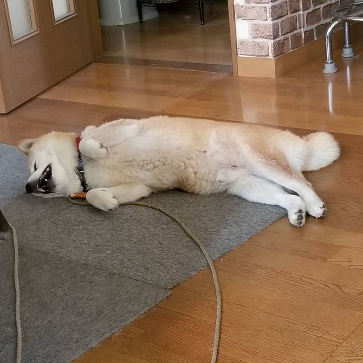 46deb588 895b 431b 99d3 39aac41f53ea 1720057486720