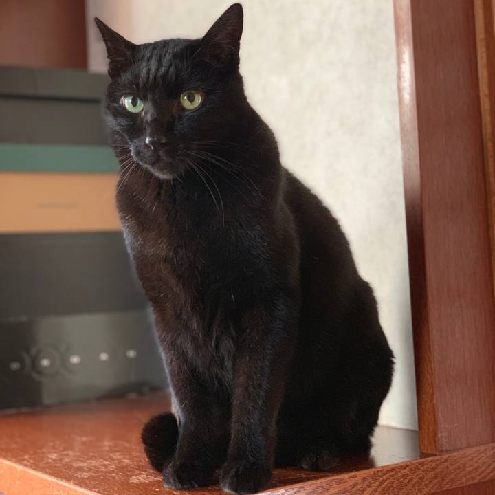 46dece7c 1c4d 46fd abb9 dda5f9555f73 1546731717137