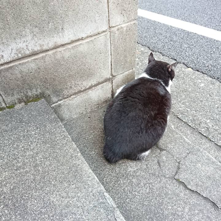 46ded361 9170 4353 b4f9 79b3c3e02592 1664531533007