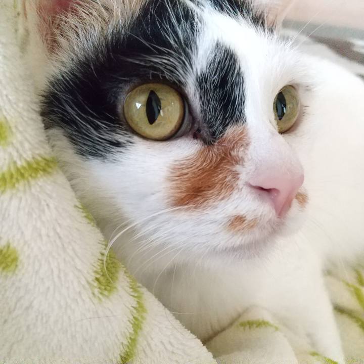 46def762 211f 4247 8d98 0cd76f4c1304 1585699082630