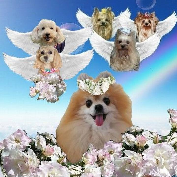 46df13c0 73fc 44aa 8ae6 7826bbc88bc3 1763907191868