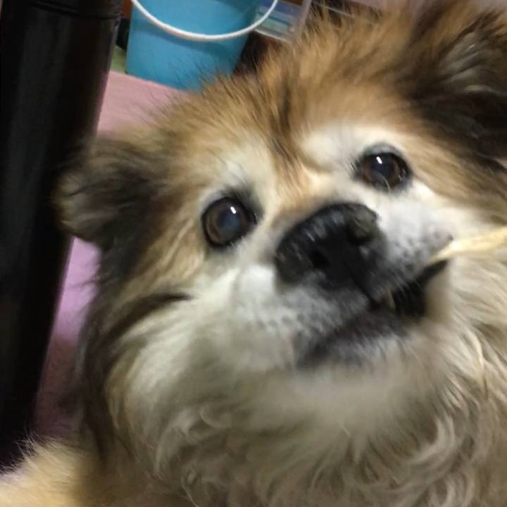 46df14a4 985f 491a 8f5c 0aeba56840b9 1558081370922