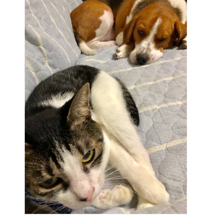 46df24aa 579c 41ca 8b75 e83742b647da 1567338789941