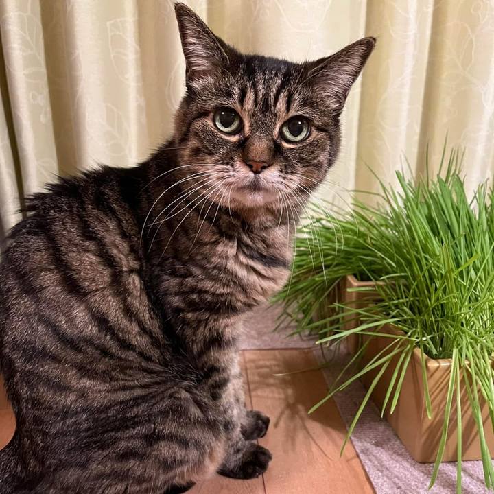 46df7de8 7dba 410b bc22 fc997e648f50 1762042408618