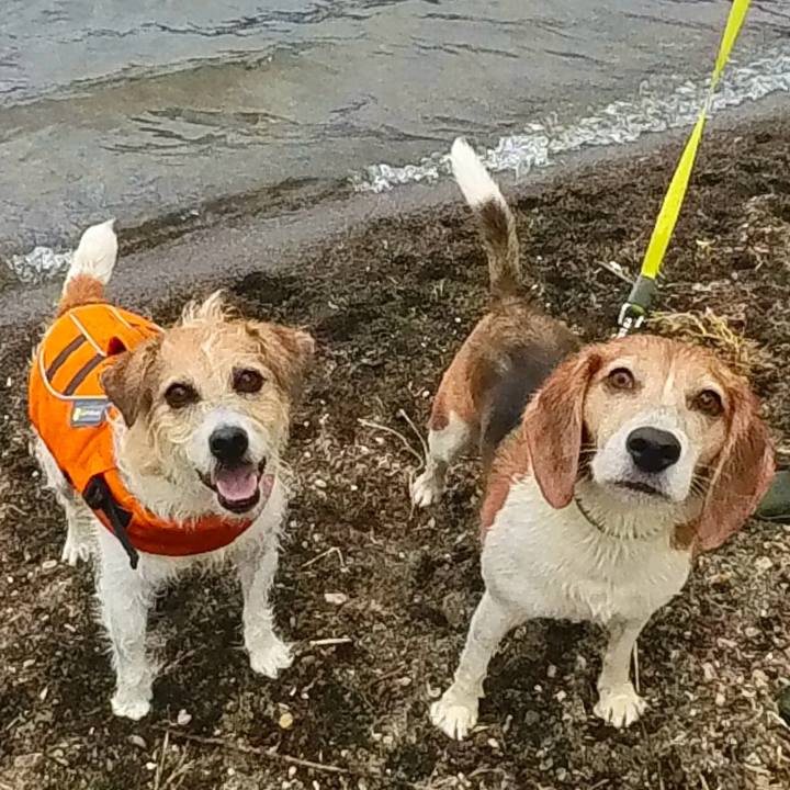 46dfb3cd 002b 463d b9f9 0b40b7232f8c 1723296441566