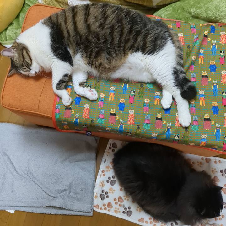 46dfe96c 36fc 4952 afe6 f183aa588f50 1685449011830