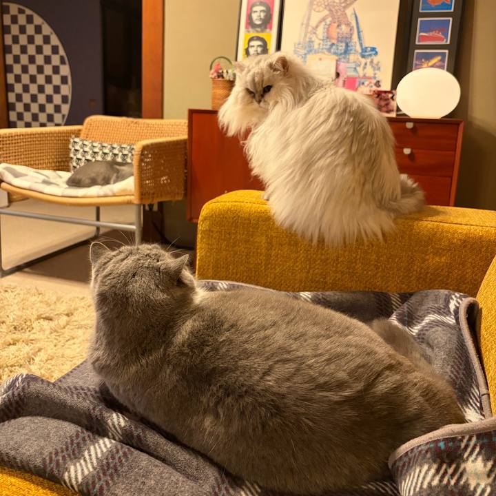 46e02a32 da4d 4655 8b3d f3ab5c73f843 1773802804342