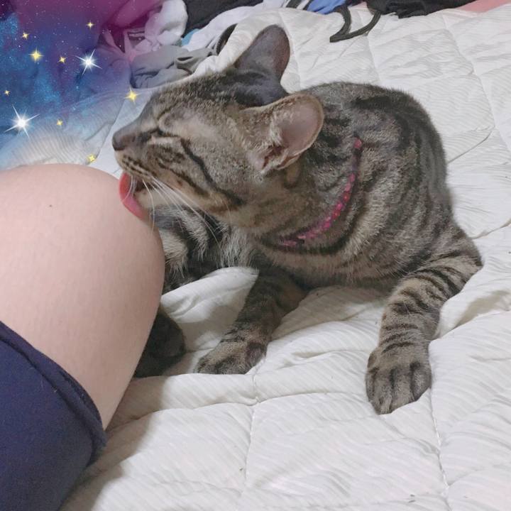 46e02da7 502e 4524 b5d6 6f7648bc566d 1565274459952