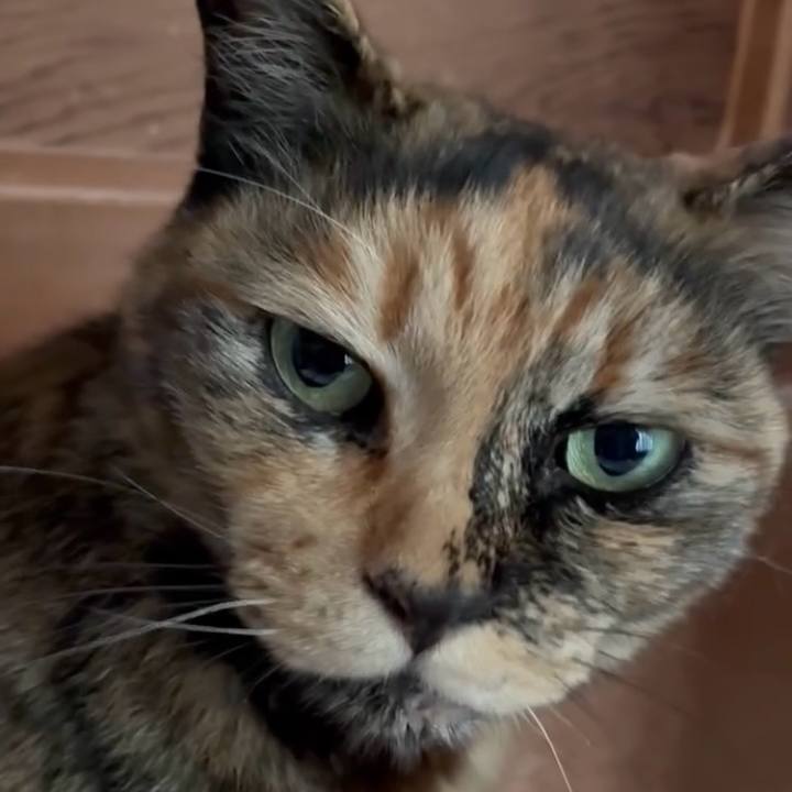 46e0371b b3eb 4a2c 8fea d6fe359a5070 1745111856654