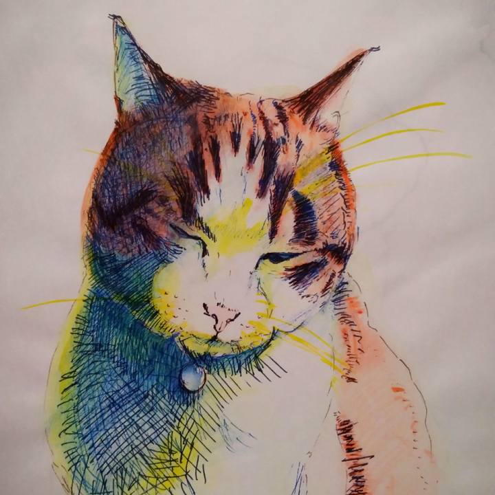 46e0bebe e011 414c bbe6 0770af614556 1551878201630