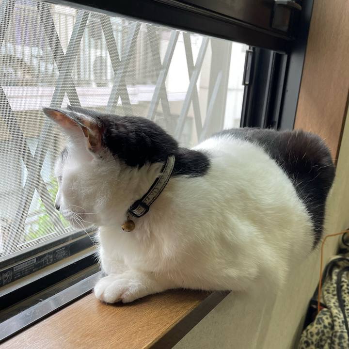 46e0c977 fea9 4322 8048 1c3540cee6db 1747781073786