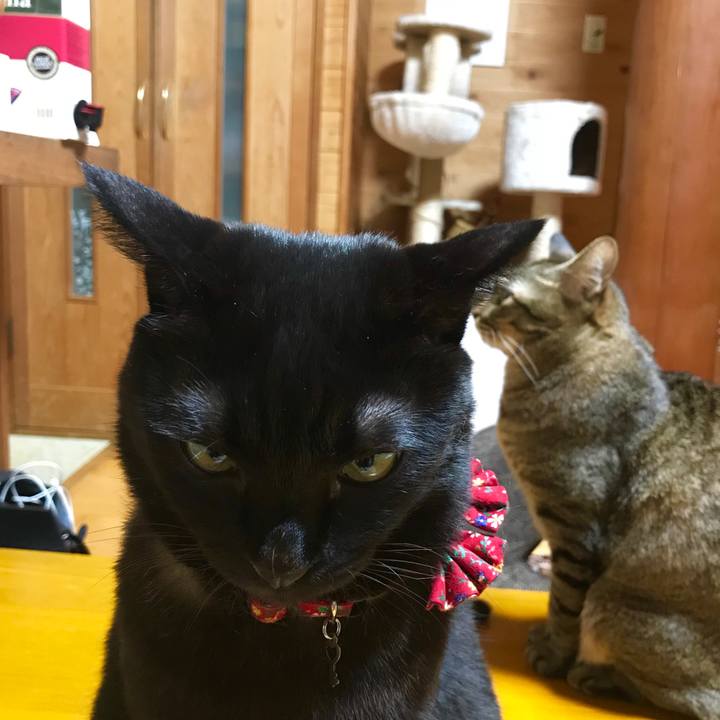 46e0dc26 a419 4892 be40 e4cb2eb17636 1542546737154