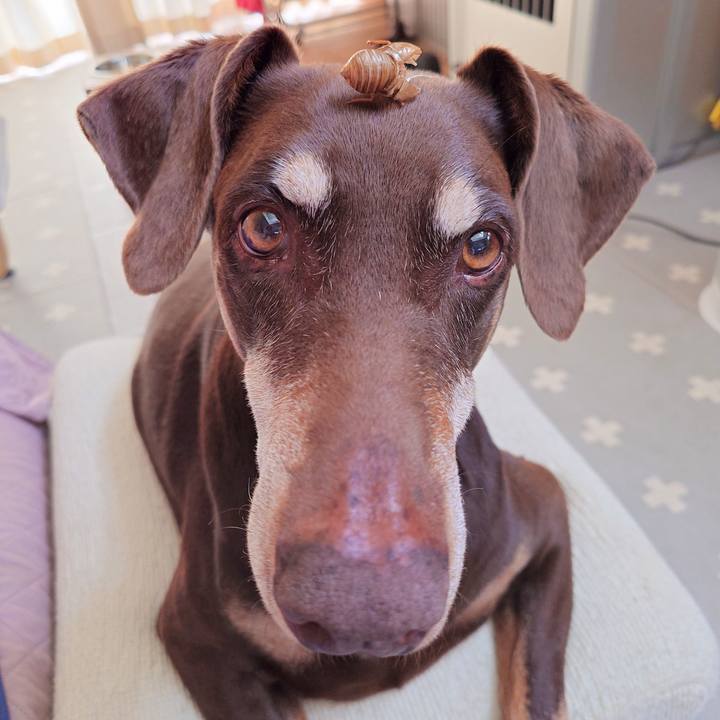 46e10c13 dd94 4198 ac35 aedd9383d997 1764125635419