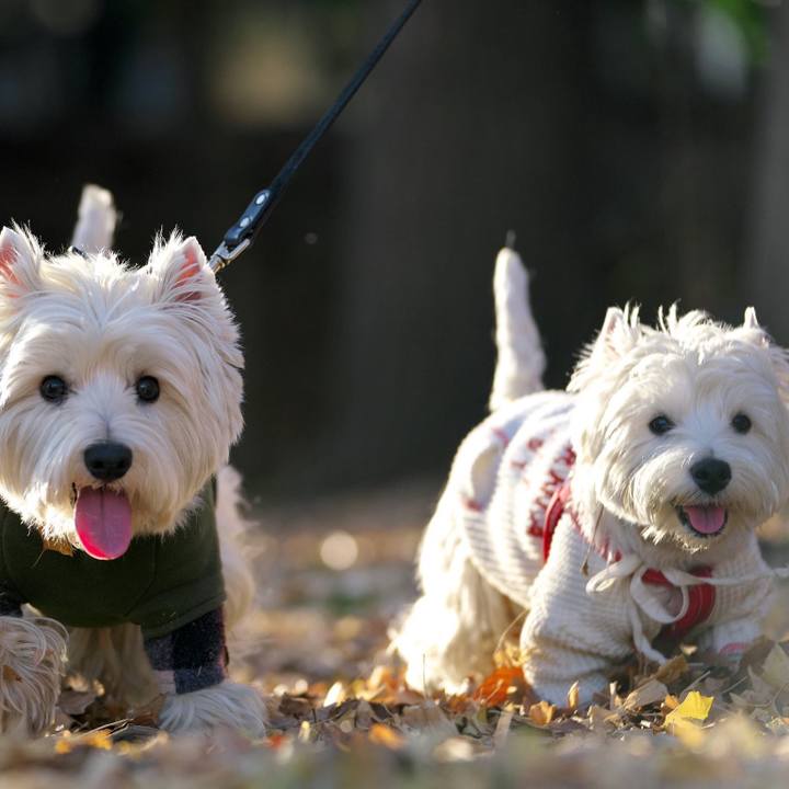 46e13b92 d060 4ec1 8e76 c092b22e68c5 1514935459113