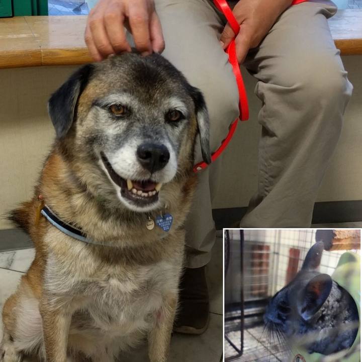 46e194bd 3aae 498c a0af b2efdad2ce40 1534377759119