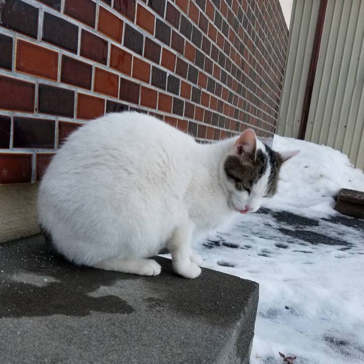 46e1bab5 5ba7 49af abd4 3dc76d4cc81f 1611739450255