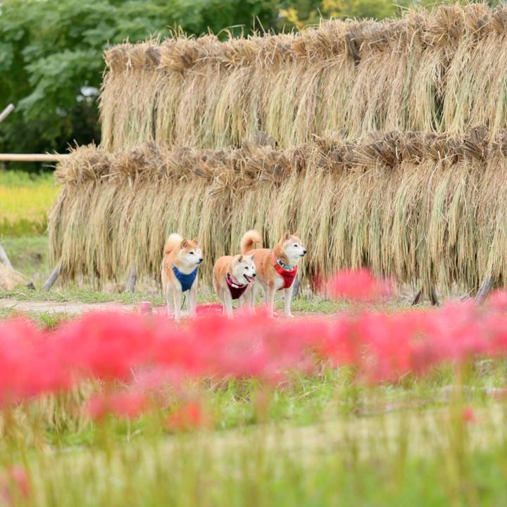 46e1deec a9cc 4a35 8677 92abc489fa34 1760197966825