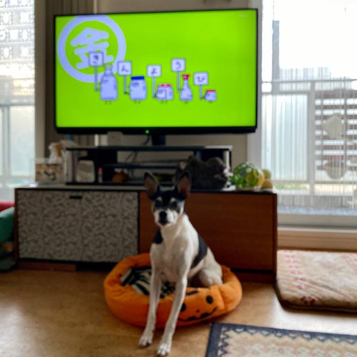 46e211db 8ad5 4471 9ee5 c70608039873 1604613656663