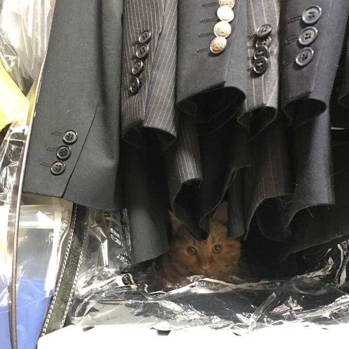 46e215ac 7940 4c5a b37f a67d89aa8273 1524023821040