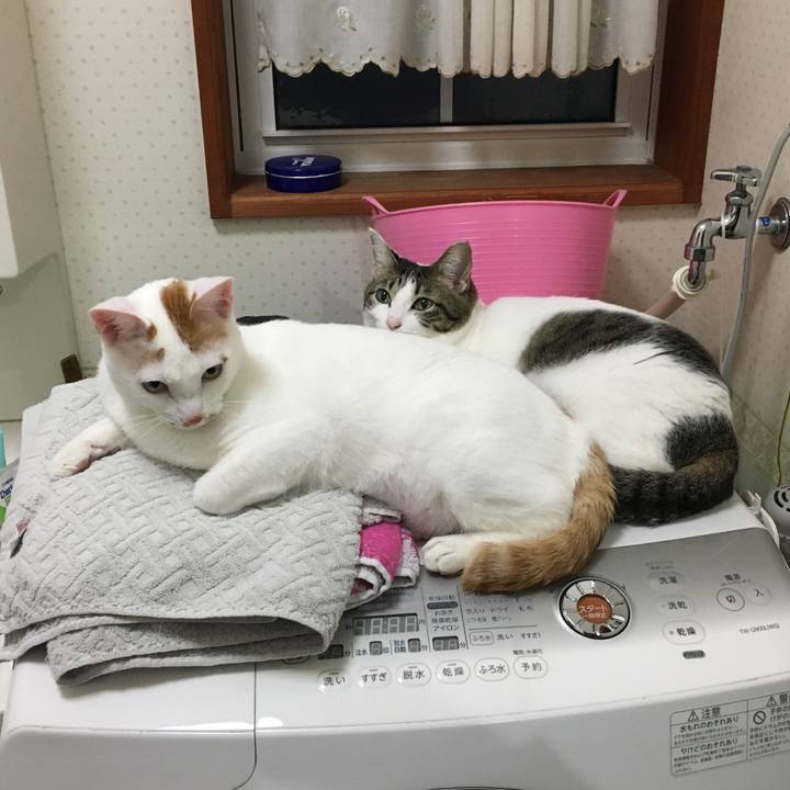 46e2405d 6a8b 49dd 8472 54c054fc6ee8 1517028898089