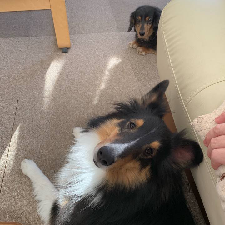 46e266e1 8df4 4da4 8da8 87c722a2eea7 1578096478438