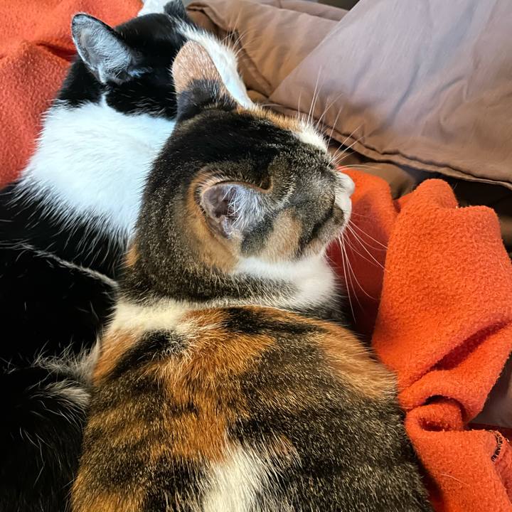 46e279b0 3ede 4ce5 8c78 b6134dc793ac 1632863936947