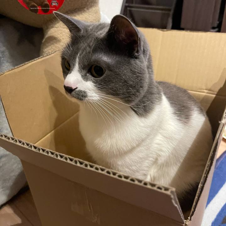 46e27b00 9c91 4172 8eea 444c7401c406 1640010350319