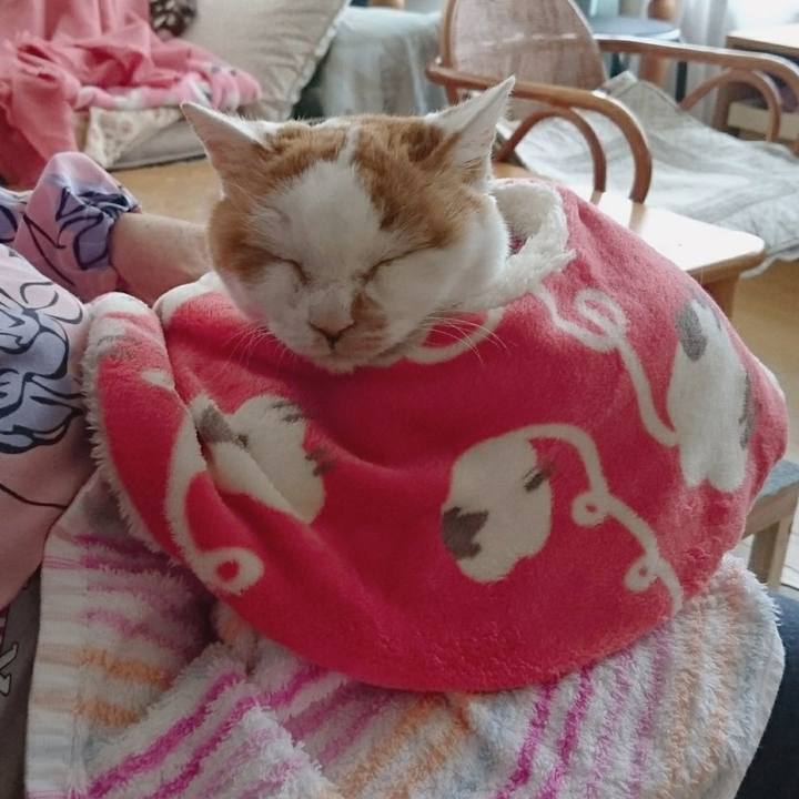 46e27ea0 934d 41ca 8f84 ad0215cfe440 1577847447614