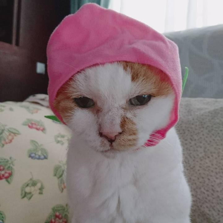 46e2be08 3e7e 4d20 b579 6a50338adcb0 1660186870065