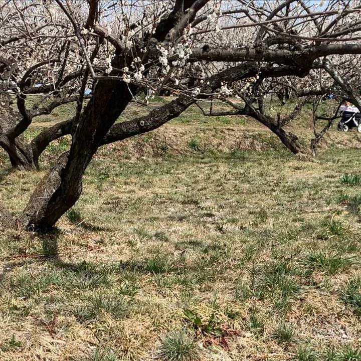 46e2c78a 75d5 4826 b081 5c3e04256398 1648189557180