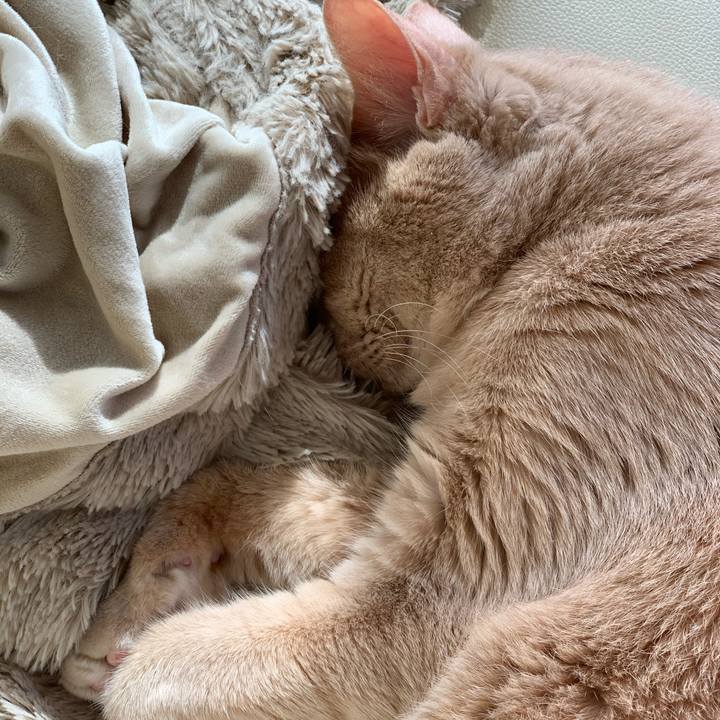 46e2e282 42ae 4dee 86f2 bbc57b812b40 1649806171135