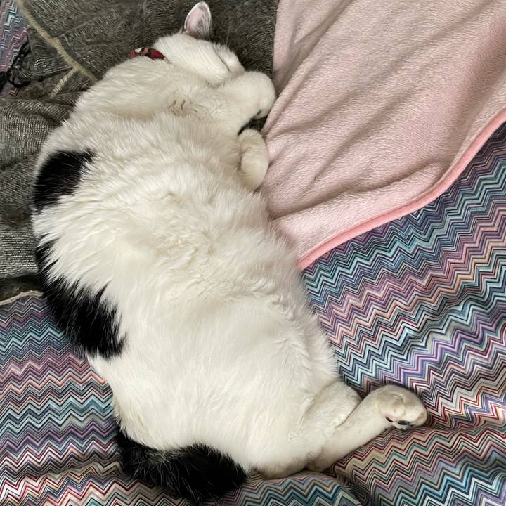 46e2effa 8da8 4e7e 8387 67dde4febd58 1641777899211