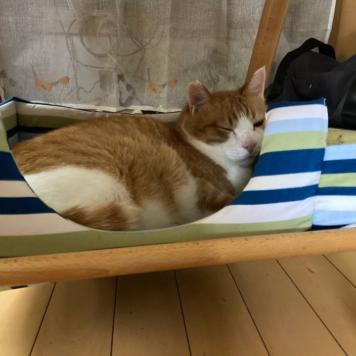 46e31296 30da 4d10 be4e b0c69a68610e 1758239715406