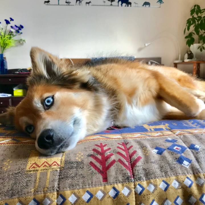 46e31738 c399 4007 b362 f7f6fea75774 1542512522331