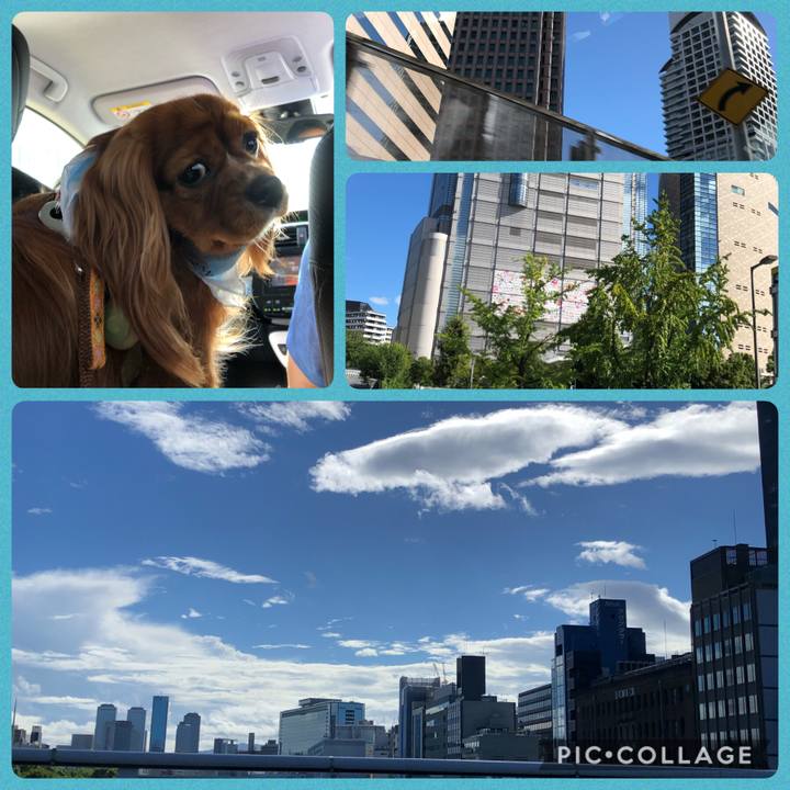 46e327bf 92aa 4dbc ade0 8095a7d3ae12 1599351665373