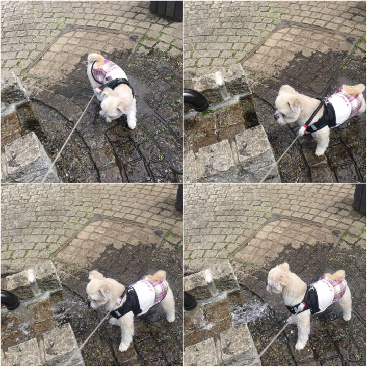 46e374aa 6c9d 4b9b a130 cfd9840bdb20 1522927915634