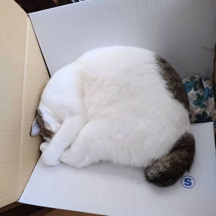 46e3e279 f2d7 440b 840e 0e658170189d 1760939147189